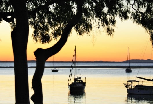 Tips Image 1 528 X 360