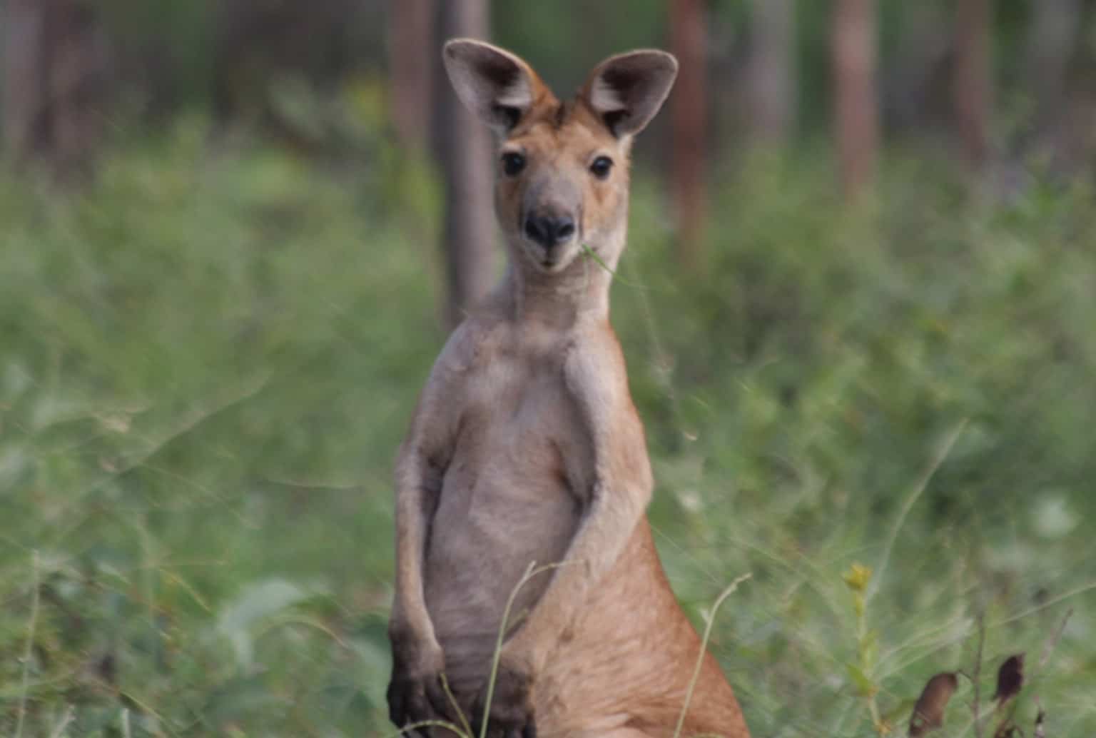 Adelaide to Darwin Tour 3