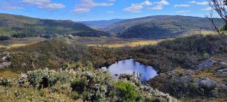 Wombat Pool Cradle