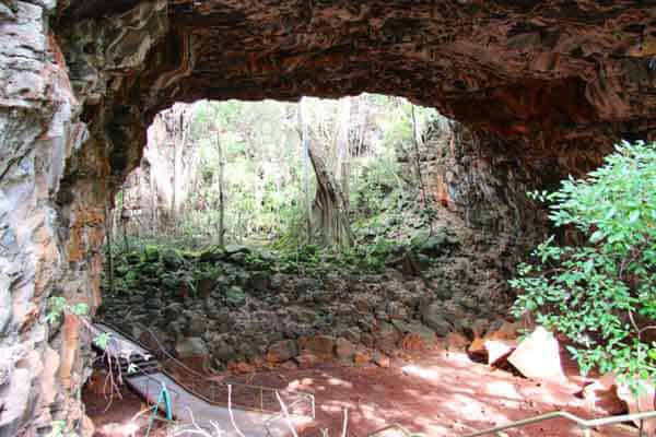 Cairns Campervan Hire- Undara Lava Tubes
