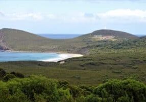 bruny island lighthouse views sea grass tasmania